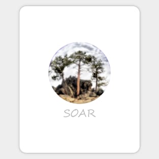 Soar Sticker